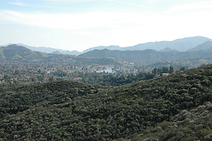 feature photo