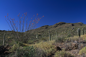 feature photo