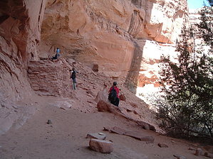 feature photo