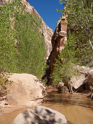 feature photo