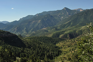 feature photo