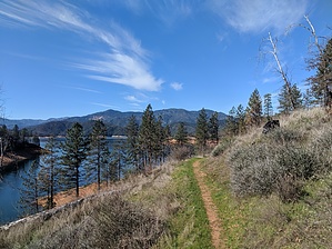 feature photo