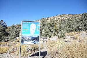 feature photo