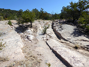 feature photo
