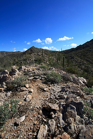 feature photo