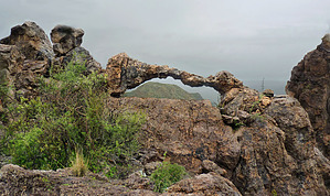 feature photo