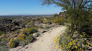 feature photo