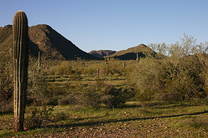 feature photo