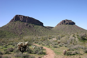 feature photo