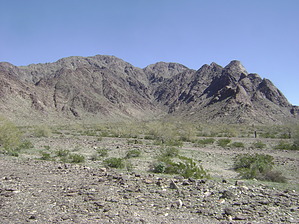 feature photo