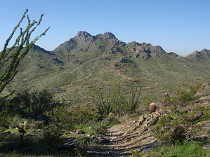 feature photo