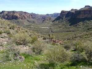 feature photo