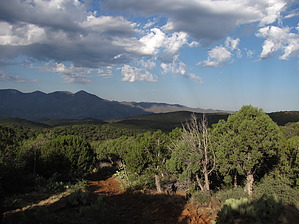 feature photo