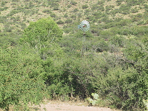 feature photo