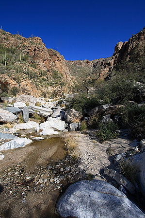 feature photo