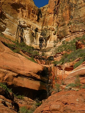 feature photo