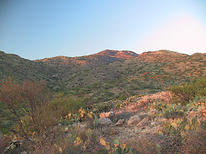 feature photo