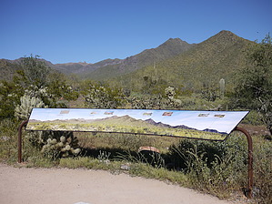 feature photo