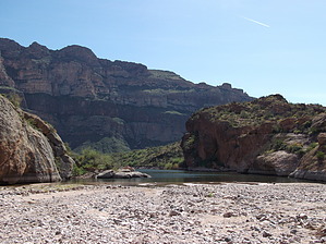 feature photo