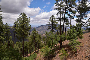 feature photo