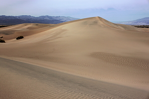 feature photo