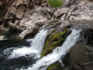 feature photo