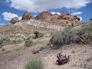 feature photo