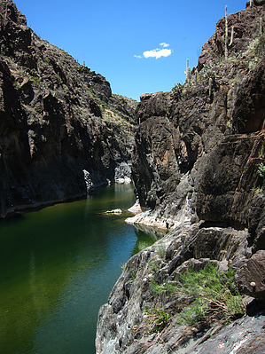 feature photo