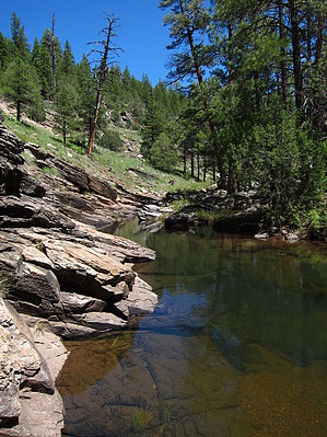 feature photo