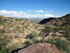 feature photo