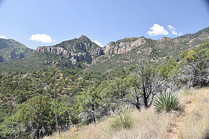 feature photo