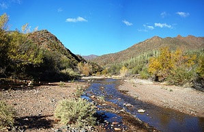 feature photo