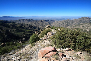feature photo