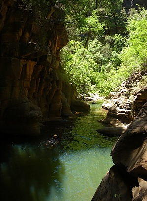 feature photo