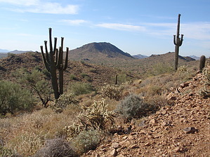 feature photo