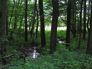 feature photo