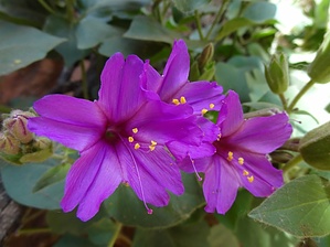feature photo