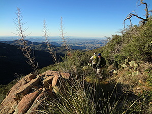 feature photo
