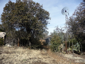 feature photo