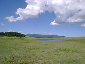 feature photo
