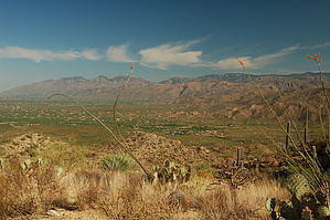 feature photo