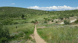 feature photo