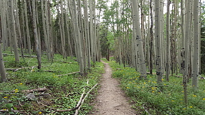 feature photo