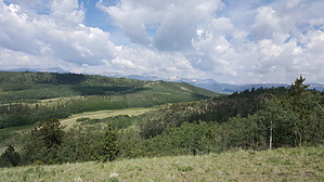 feature photo