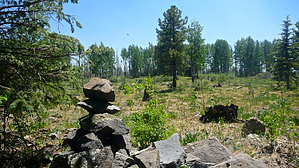 feature photo
