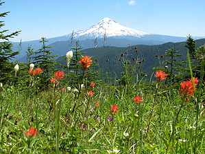 feature photo