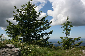 feature photo