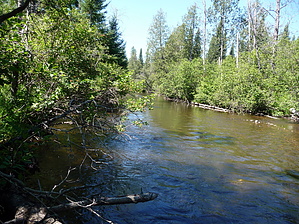feature photo
