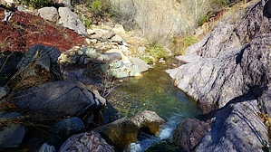feature photo