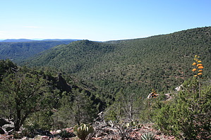 feature photo